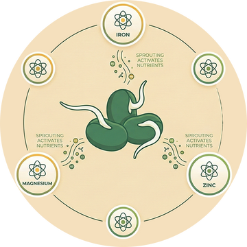 Better Bioavailability