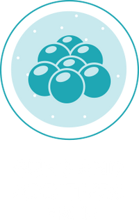 Certification Icon