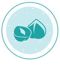 Certification Icon
